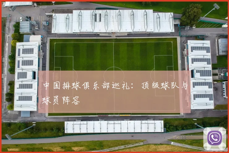 中国排球俱乐部巡礼:顶级球队与球员阵容