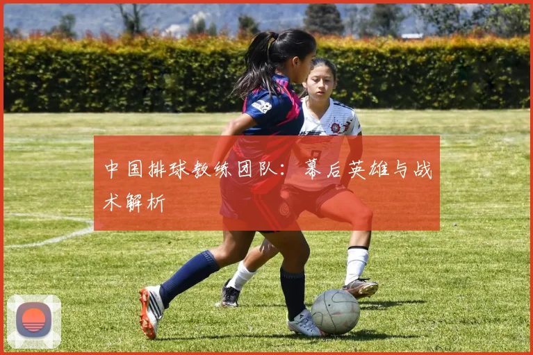 中国排球教练团队:幕后英雄与战术解析