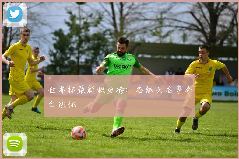 世界杯最新积分榜：各组头名争夺白热化