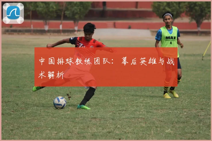 中国排球教练团队：幕后英雄与战术解析